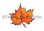 F-175-HK Sm. Maple Leaf
